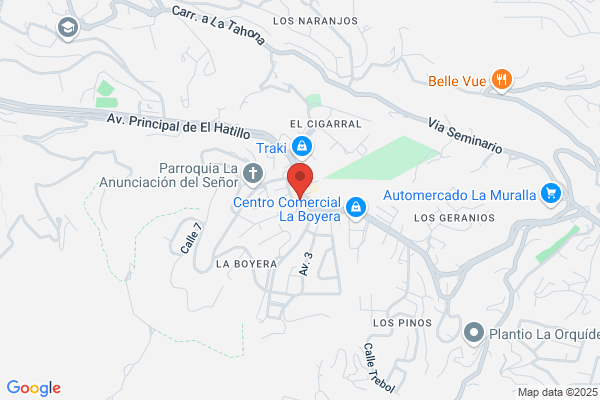Festejos Los Geranios CA