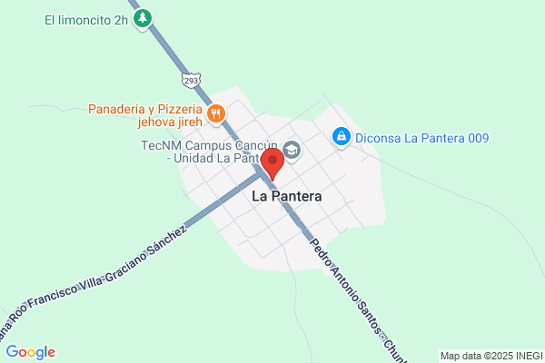 La Pantera Electronica, S.R.L.