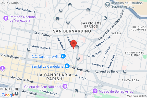 Distribuidora Dispoflor CA
