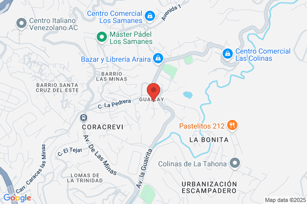 Vepica Venezolana de Proyectos Integrados, C.A.