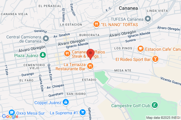 Autopartes La Antena