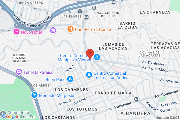 Tecno Repuestos, C.A