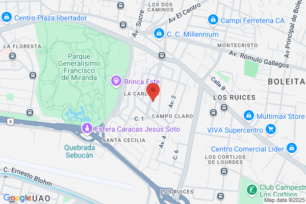 Taller Lusitano