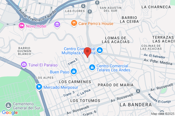 Corporación Molisano C.A.