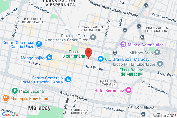 El Pincel de Oro C. A.