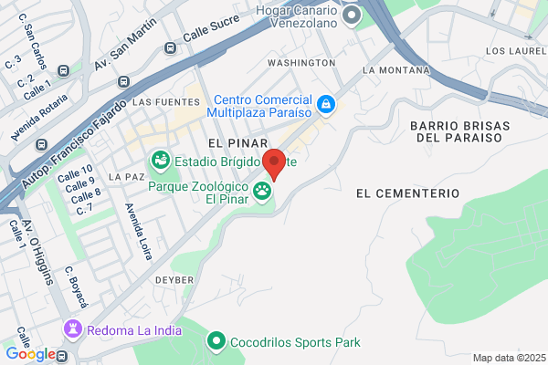 Servicios de Seguridad Gigante C.A.