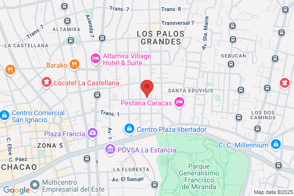 Academia de Baile Zoraya C.A.
