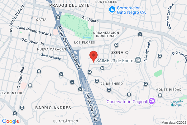Banderines y Franelas Internacionales
