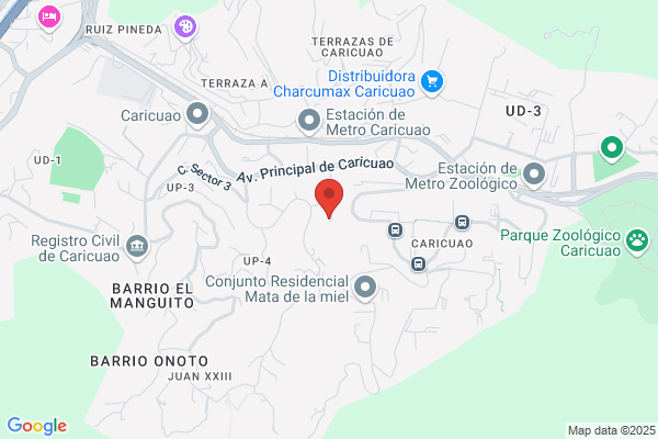Servicios Integrales Caryali, C.A.