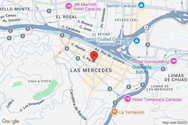 Importex de Sud América
