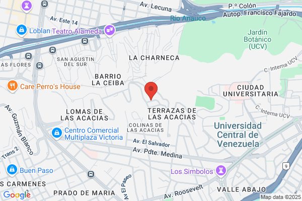 Proyecto de Impacto Ambiental MGF,CA