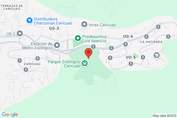 El Hipopotamo Lector