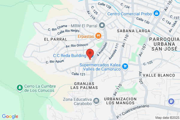 Servicios de Seguridad Gigante, C.A
