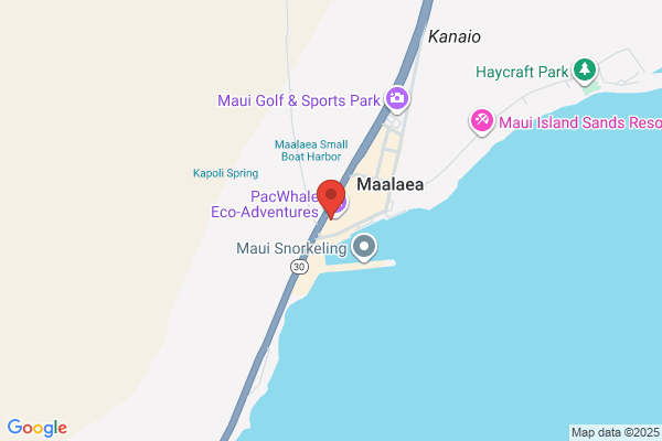 Maui Discplay