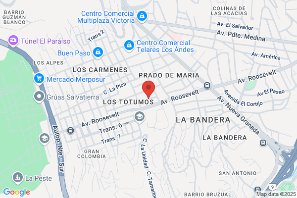 Servicios de Montacarga Alkala S.R.L.