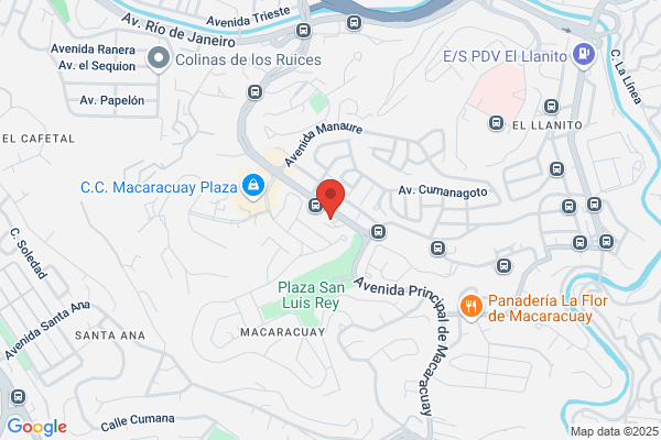 Repuestos Polimotor CA