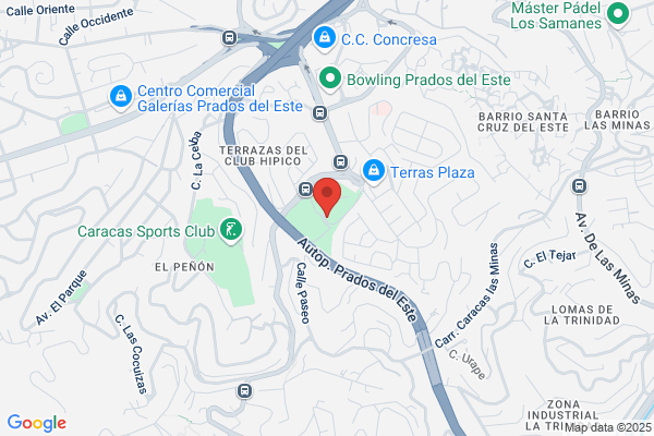 Servicios Ricol, C.A