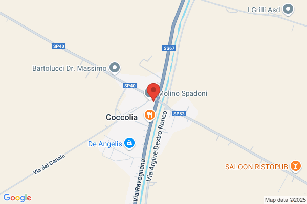 Técnica Spadoni, C.A.