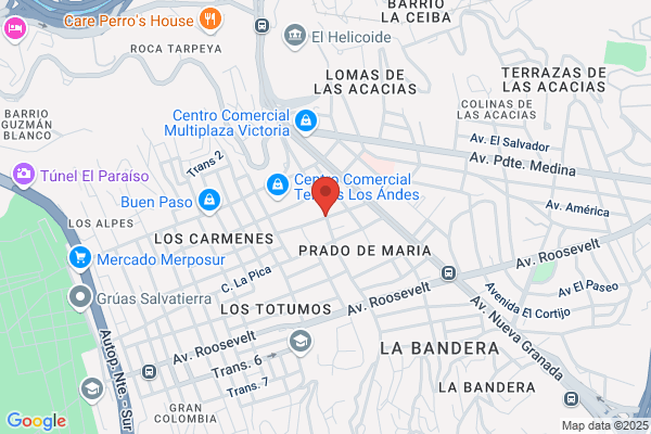 Recam Repuestos, C.A.