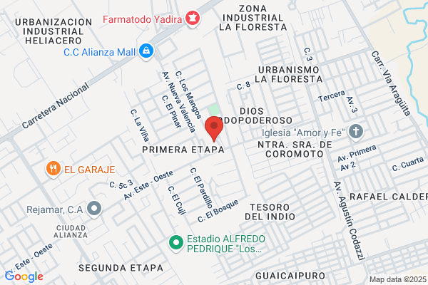 La Industrial de Punto, C.A.