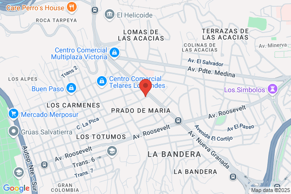 Taller El Retoño CA