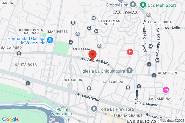 Luz Manuel E Hijos SRL