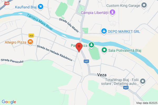 Tapiauto Ysi Roli SRL