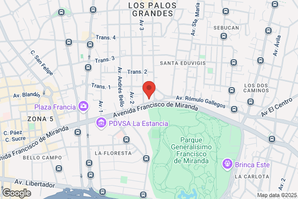 Visa Internacional Venezuela SA