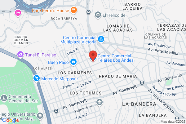 Telares los Andes SA