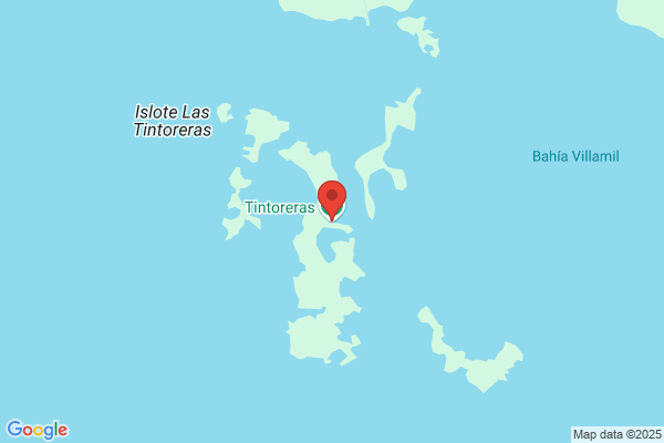 Tintorerías Mucuritas