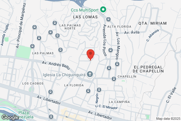 Estrada N., Gustavo