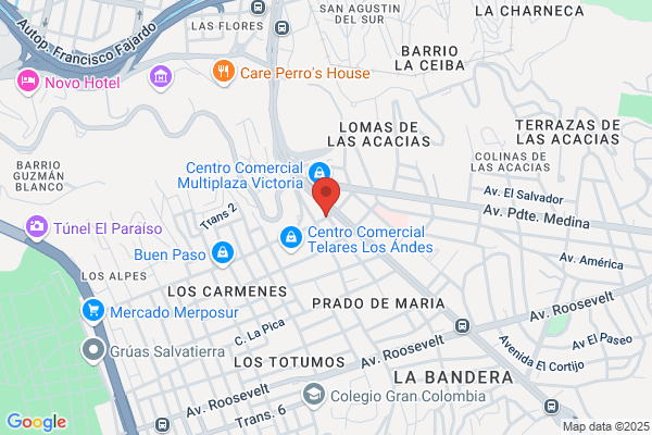 Vidrios El Prado, C.A.