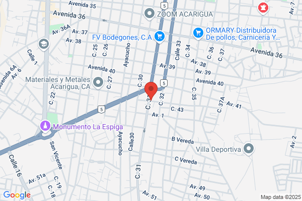 Puma Bienes Raices, C.A.