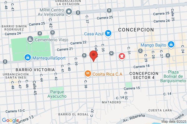 Repuestos Ford Santaluz, C. A.