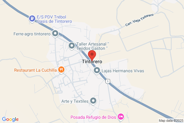 Tintorería de Lujo El Coyote, C.A.