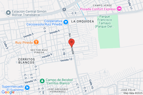Torres R., Dulce T Dra