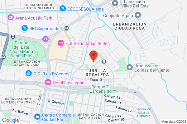 Bona Pizza