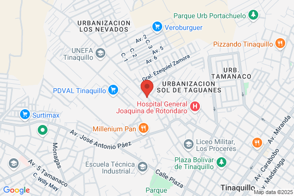 Publicaciones araguanei