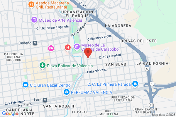 Repuestos del Llano, C.A.