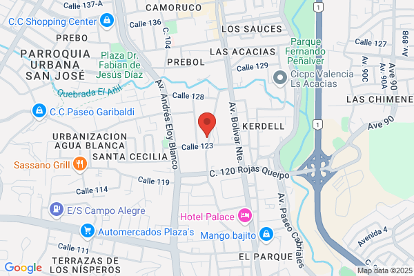 Persi Puertas, C.A.