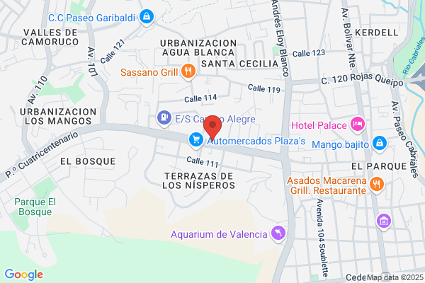 Pulcro Servicio y Mantenimiento Valencia