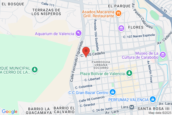 Domer Corte y Madición