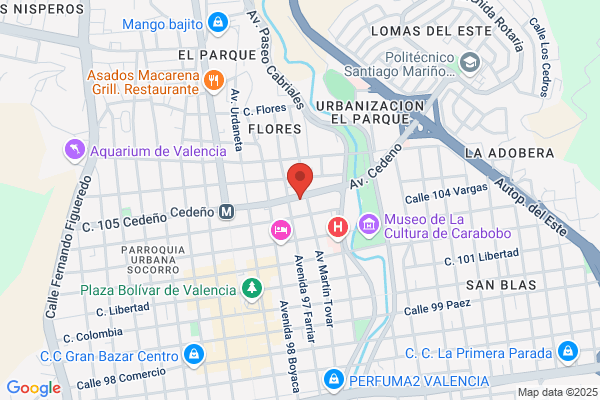 Import Caucho, C.A.