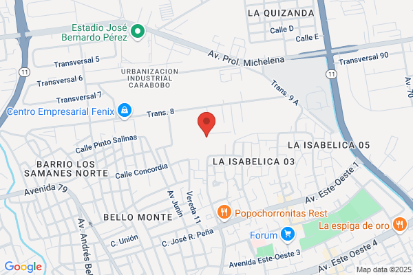 Ingeniería Henfor CA
