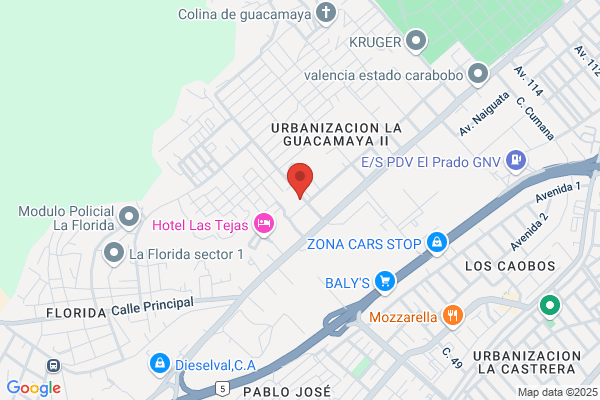 Hierro Cojedes Valencia C.A
