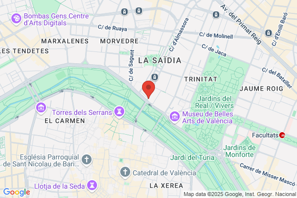 Servicio de Vigilancia Nacional, C.A.