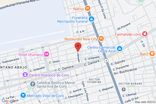 Servicio Panamericano de Protección, C.A.