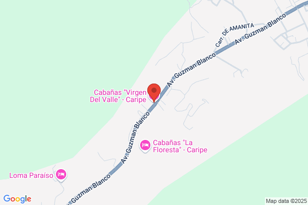 Hotel Virgen del Valle, C.A.