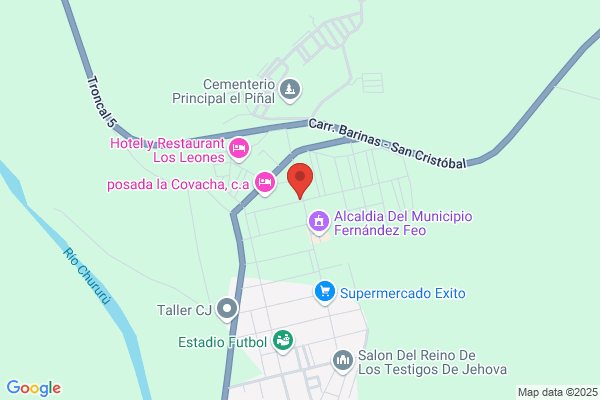 Representaciones Vivas Molina