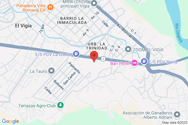 Distribuidora de Hierro El Vigía CA